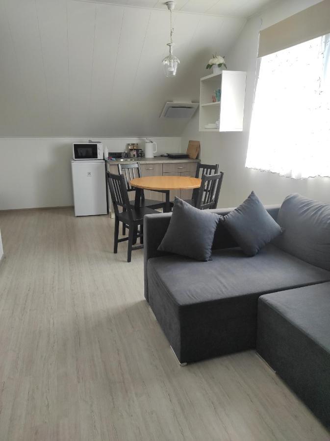 Atostogu Namai Otel Druskininkai Dış mekan fotoğraf